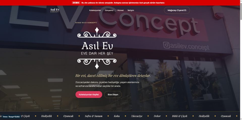 Asıl Ev Concept demo sitesi önizleme görseli